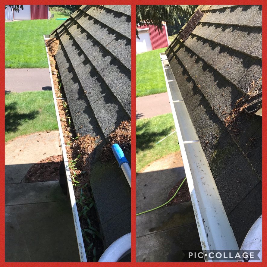 DB1E8BAD-25CB-4DCC-B421-12AE9A601130_1_105_c Gutter debris removal